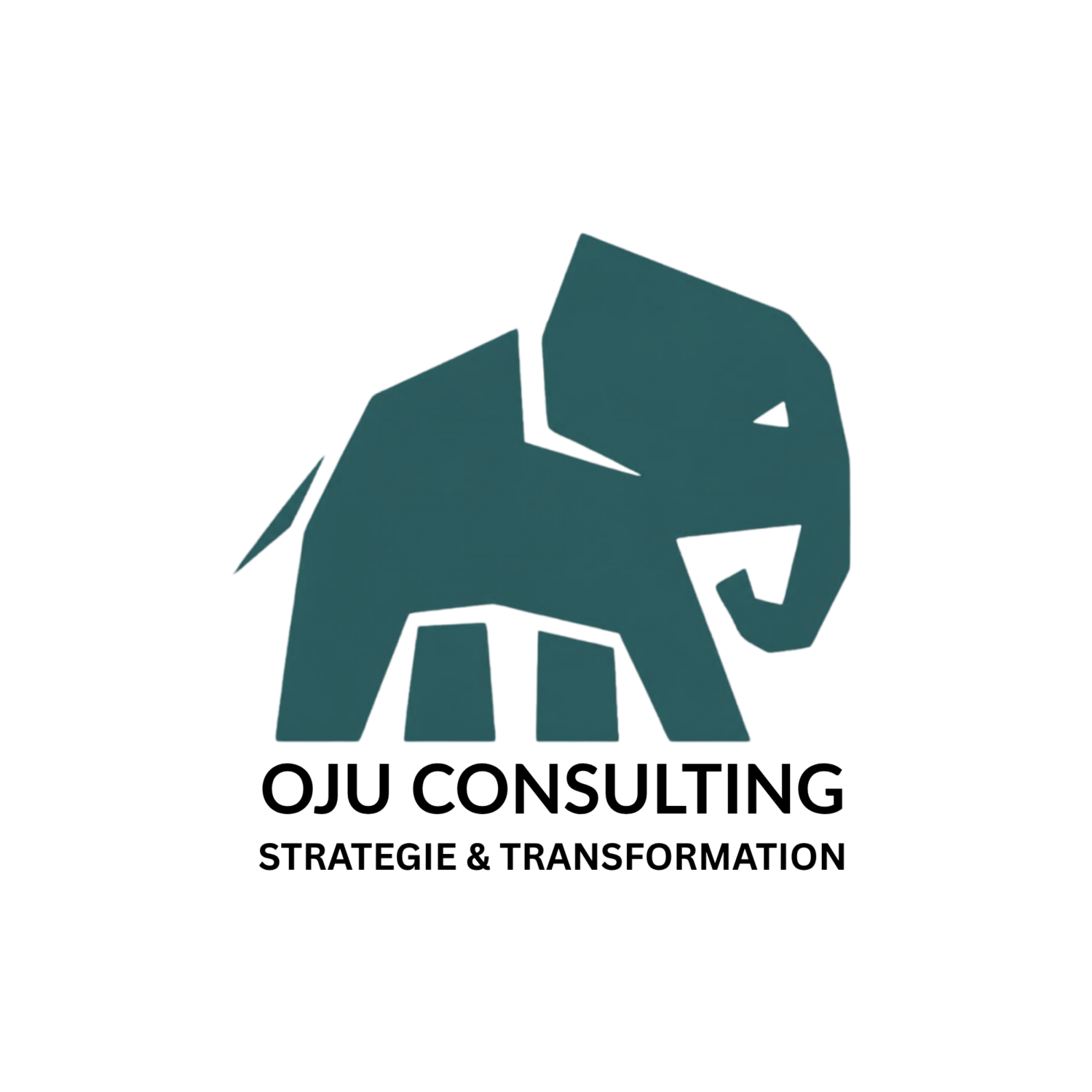 oju-consulting.de